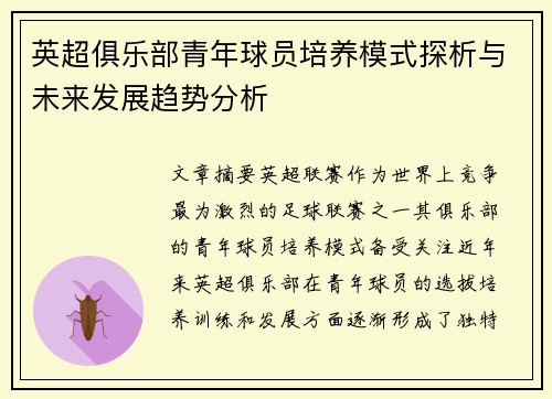 英超俱乐部青年球员培养模式探析与未来发展趋势分析 英超俱乐部青年球员培养模式探析与未来发展趋势分析