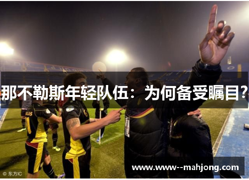 那不勒斯年轻队伍:为何备受瞩目? 那不勒斯年轻队伍:为何备受瞩目?